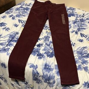 American Eagle Outfitters Dark Red Skinny Pants